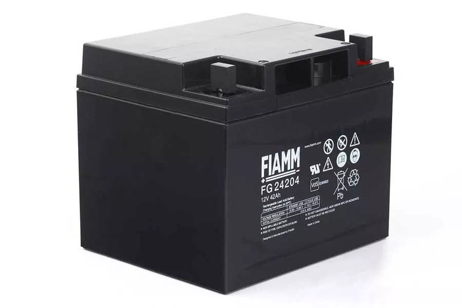 FIAMM FG24204