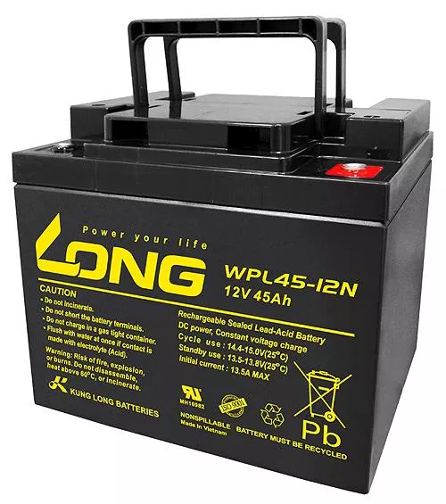 Long Bleiakku WPL45-12N - 12V 45Ah - M6